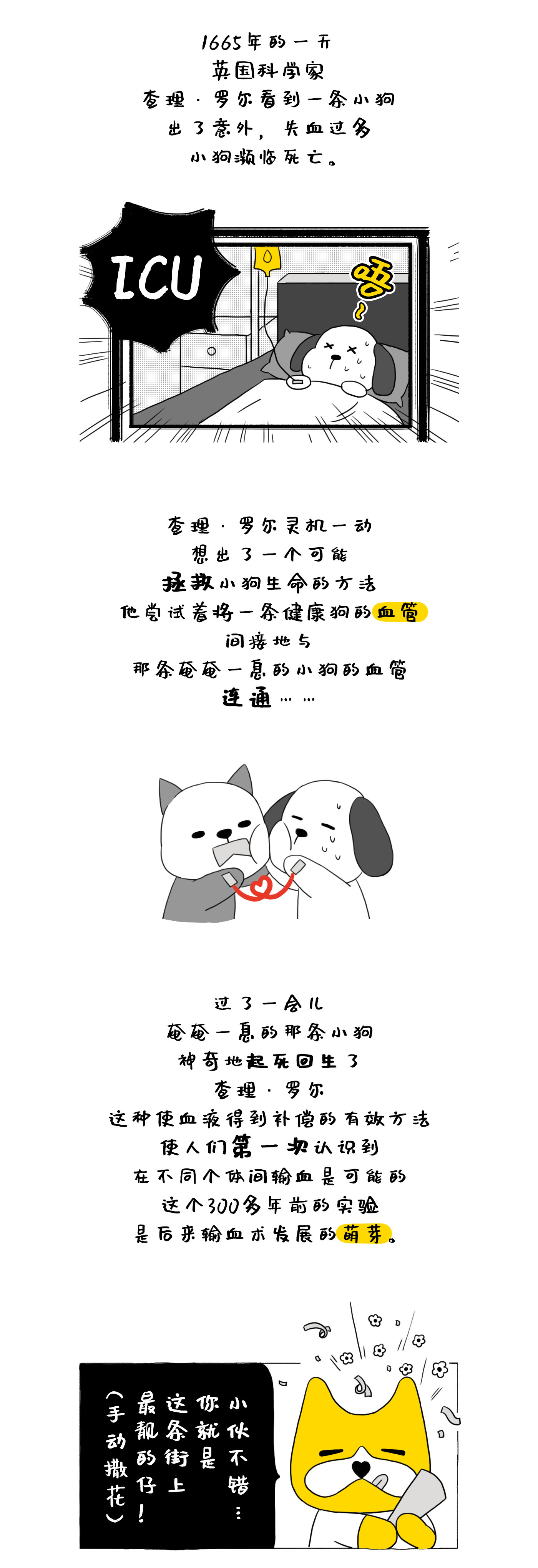 血型IP，fundog，IP形象設(shè)計